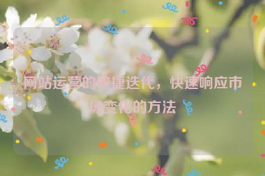 网站运营的敏捷迭代，快速响应市场变化的方法