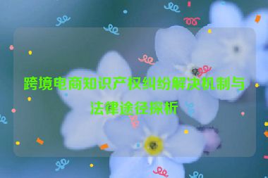 跨境电商知识产权纠纷解决机制与法律途径探析