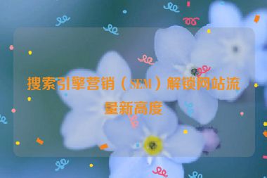 搜索引擎营销（SEM）解锁网站流量新高度
