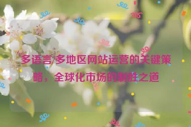 多语言/多地区网站运营的关键策略，全球化市场的制胜之道