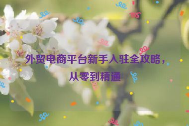 外贸电商平台新手入驻全攻略，从零到精通