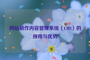 网站制作内容管理系统（CMS）的应用与优势