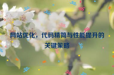 网站优化，代码精简与性能提升的关键策略