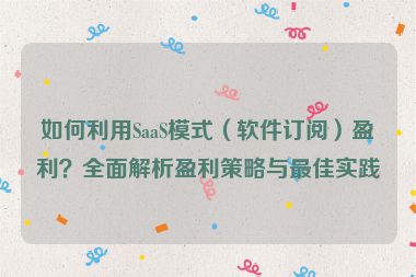 如何利用SaaS模式（软件订阅）盈利？全面解析盈利策略与最佳实践