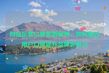 网站运营口碑营销案例，如何通过用户口碑提升品牌影响力