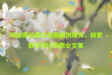 网站商业模式创新案例研究，探索数字时代的商业变革