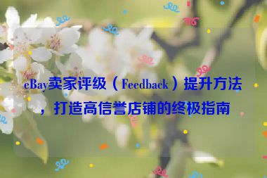 eBay卖家评级（Feedback）提升方法，打造高信誉店铺的终极指南
