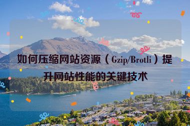如何压缩网站资源（Gzip/Brotli）提升网站性能的关键技术