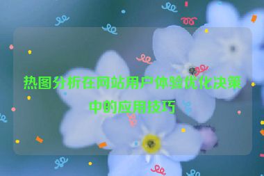 热图分析在网站用户体验优化决策中的应用技巧