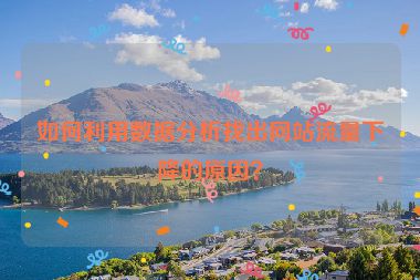 如何利用数据分析找出网站流量下降的原因？