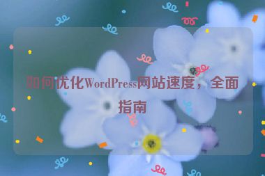 如何优化WordPress网站速度，全面指南