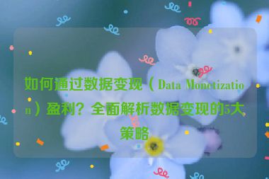 如何通过数据变现（Data Monetization）盈利？全面解析数据变现的5大策略