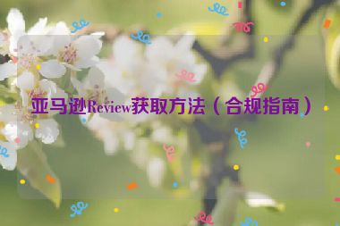 亚马逊Review获取方法（合规指南）